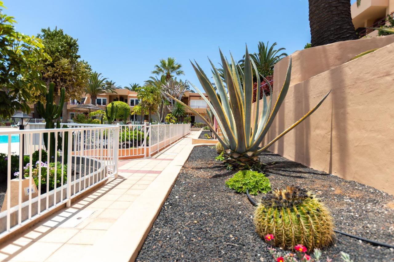Sol Apartamento Corralejo Exterior foto